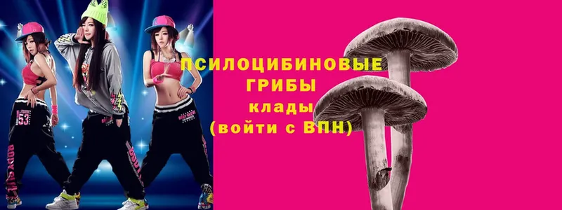 Псилоцибиновые грибы Magic Shrooms Златоуст